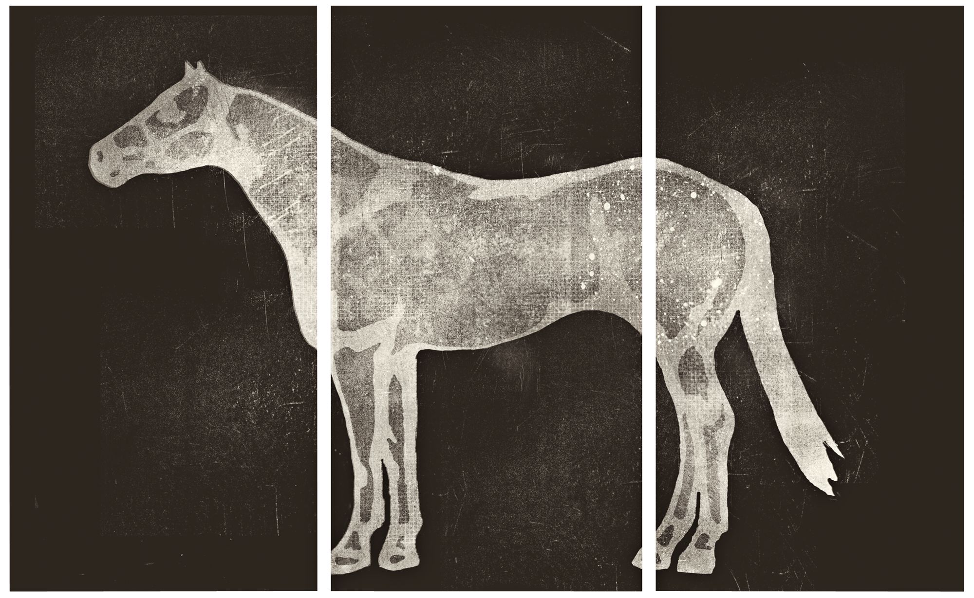 Horse X-Ray Triptych Set of 3 Canvas Wall Art