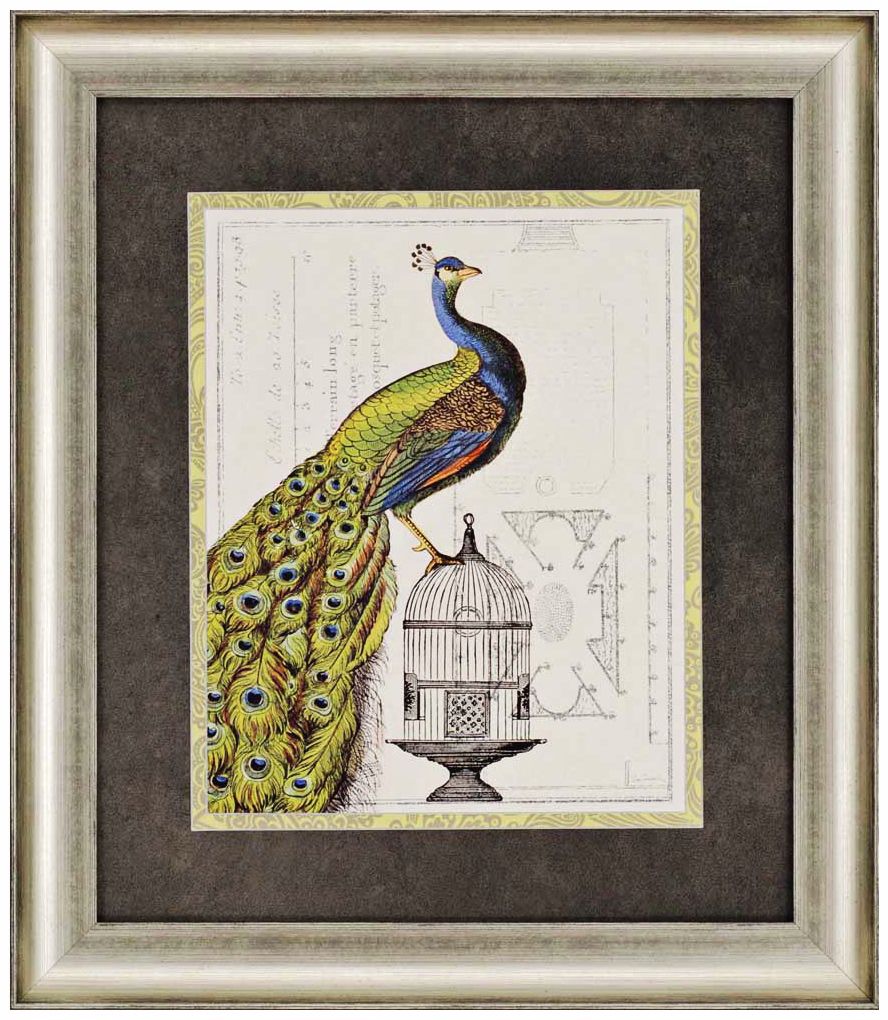Peacock Birdcage II 32" High Framed Wall Art