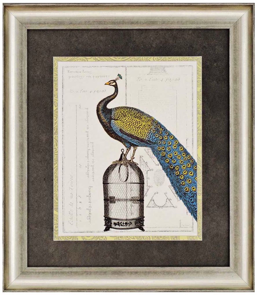 Peacock Birdcage II 32" High Framed Wall Art