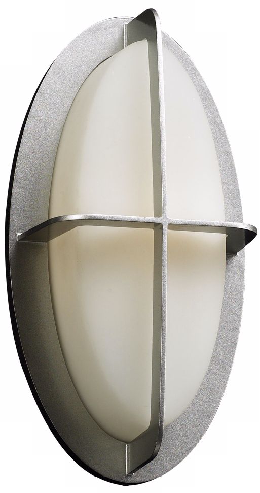 Aqua 14" High Silver Oval Outdoor Wall Light