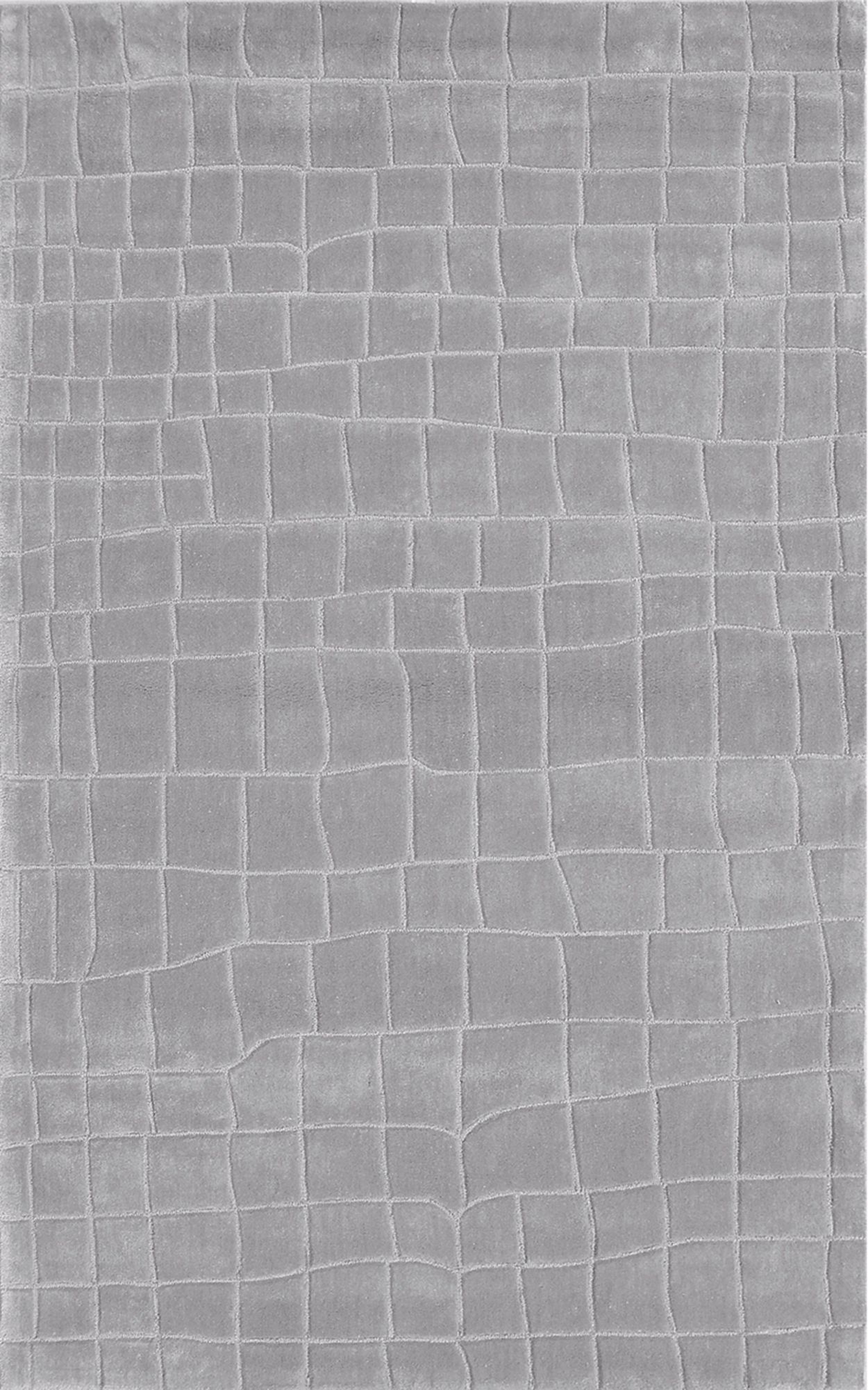 Ecconox 72348 Verve Grey Area Rug
