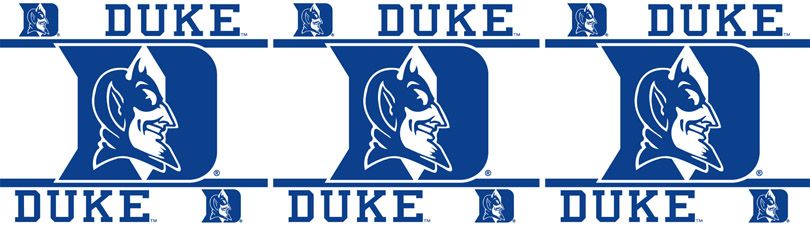 NCAA Duke Blue Devils Sidelines Toss Glow Pillow