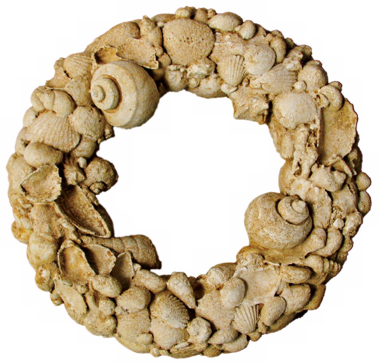 Seine Natural Stone Shell 15" Wide Outdoor Wreath