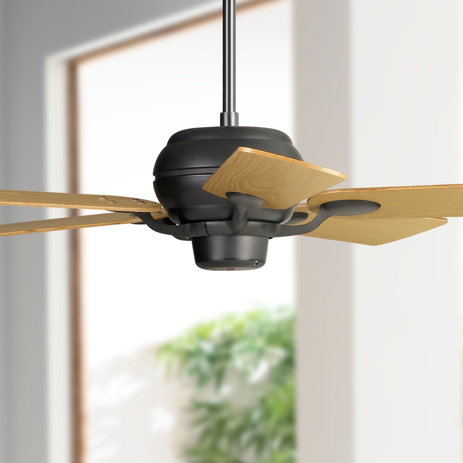 52" Casa Optima Matte Black Oak Ceiling Fan