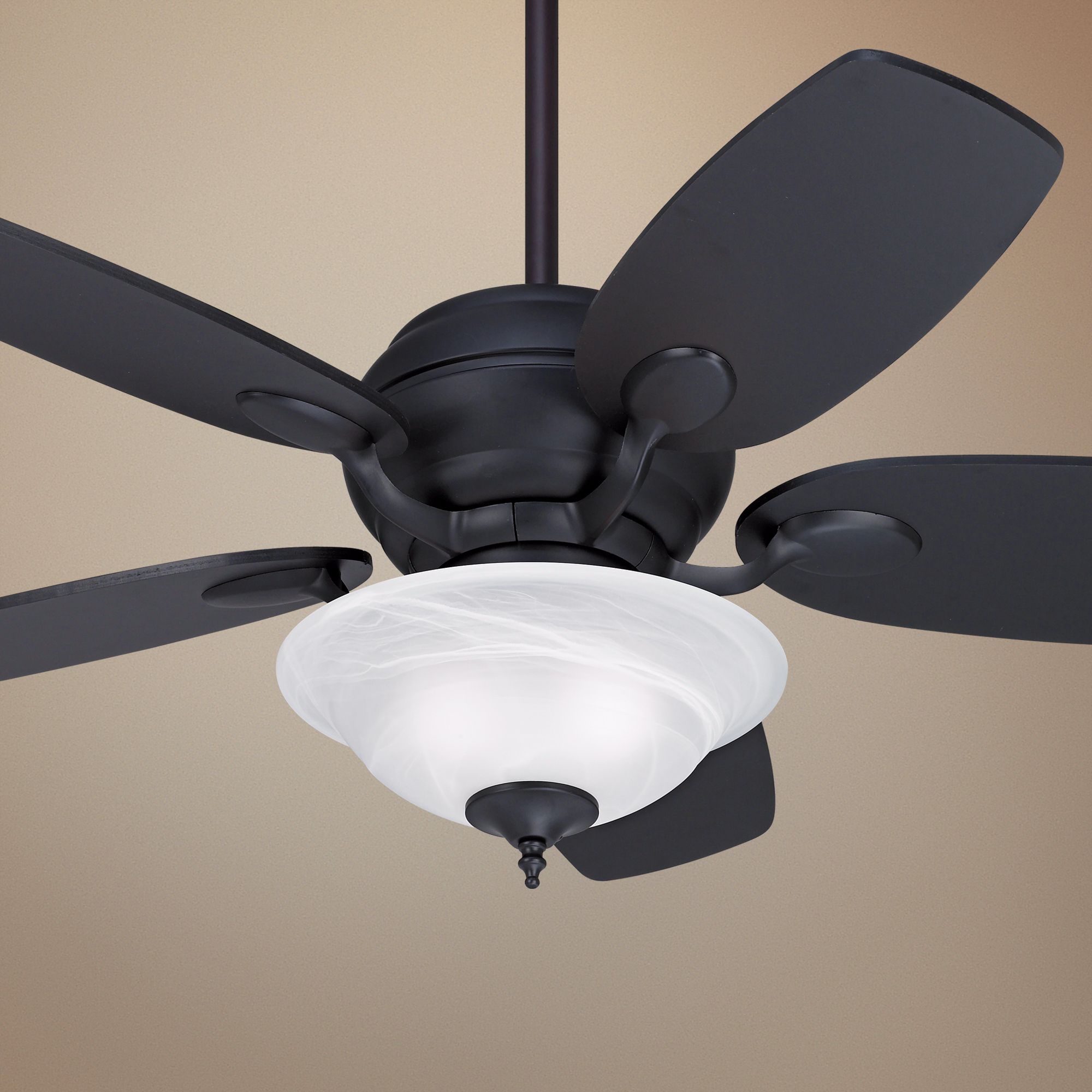 Black Ceiling Fan