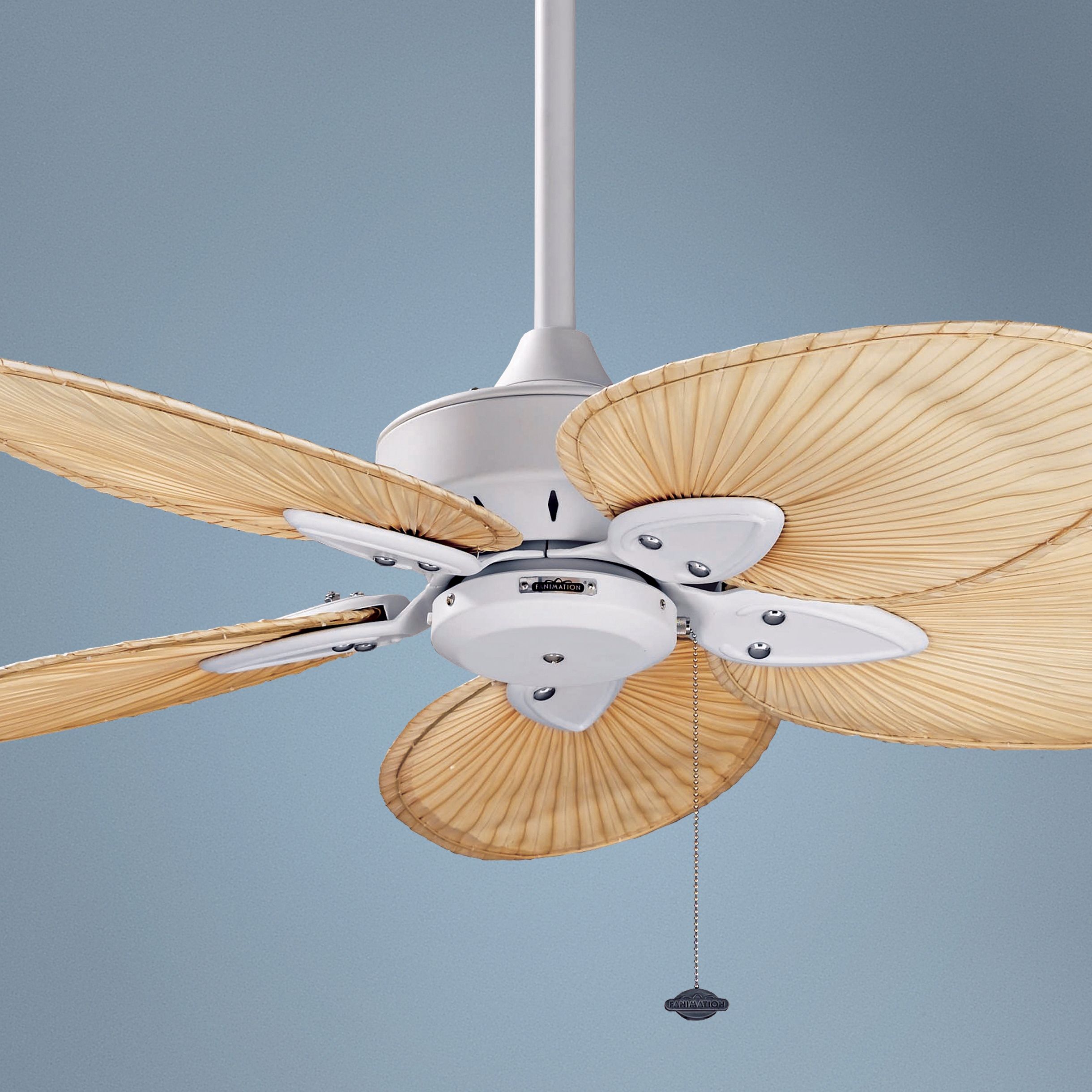 44" Windpointe Matte White Blade Ceiling Fan