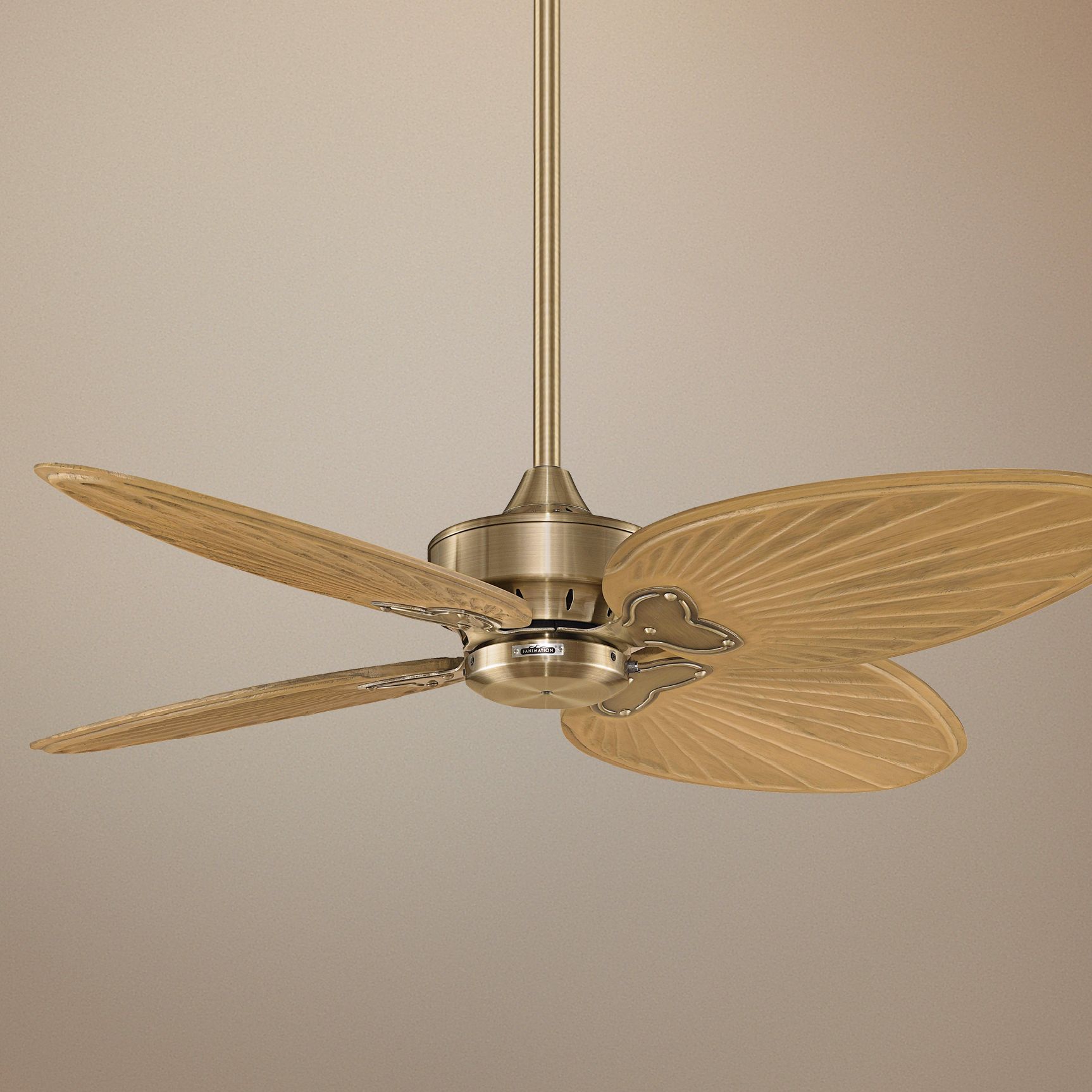 52" Fanimation Energy Star Windpointe Brass Ceiling Fan