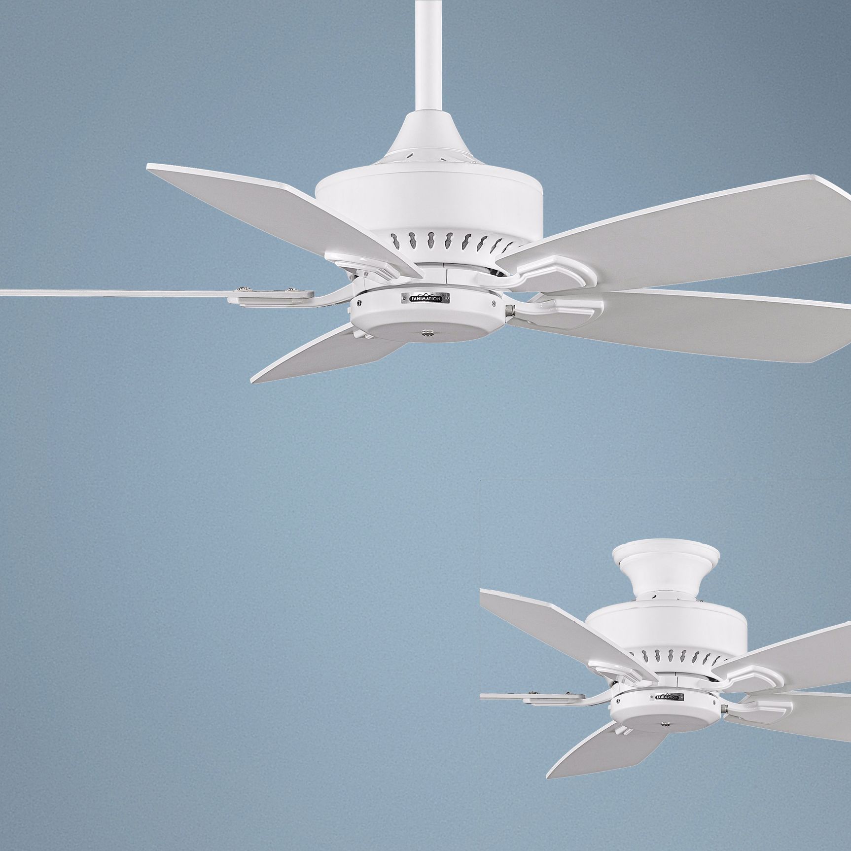 42" Fanimation Cancun White Ceiling Fan