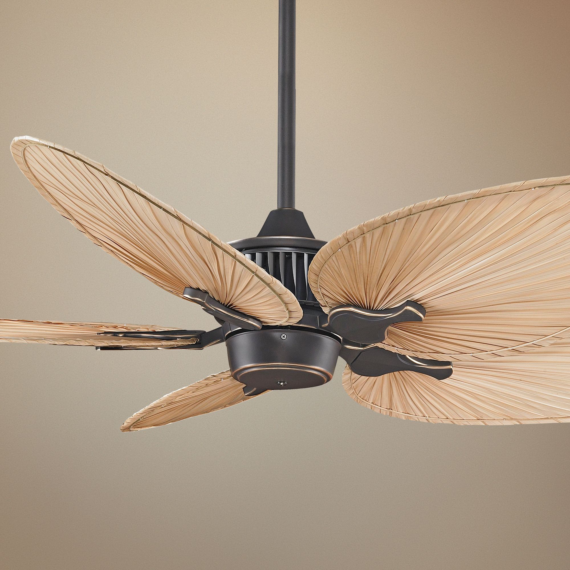 52" Fanimation Louvre™ Bronze Accent Ceiling Fan