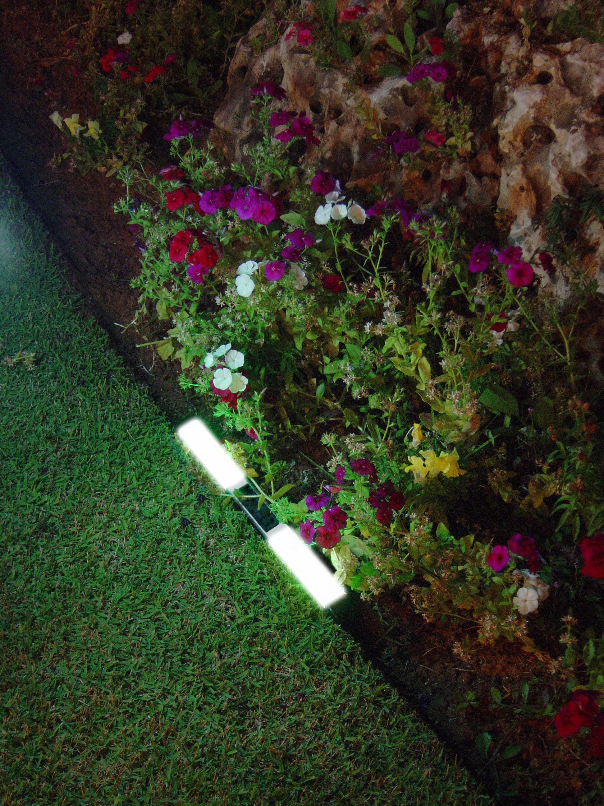 LED Landscape Lights Photo