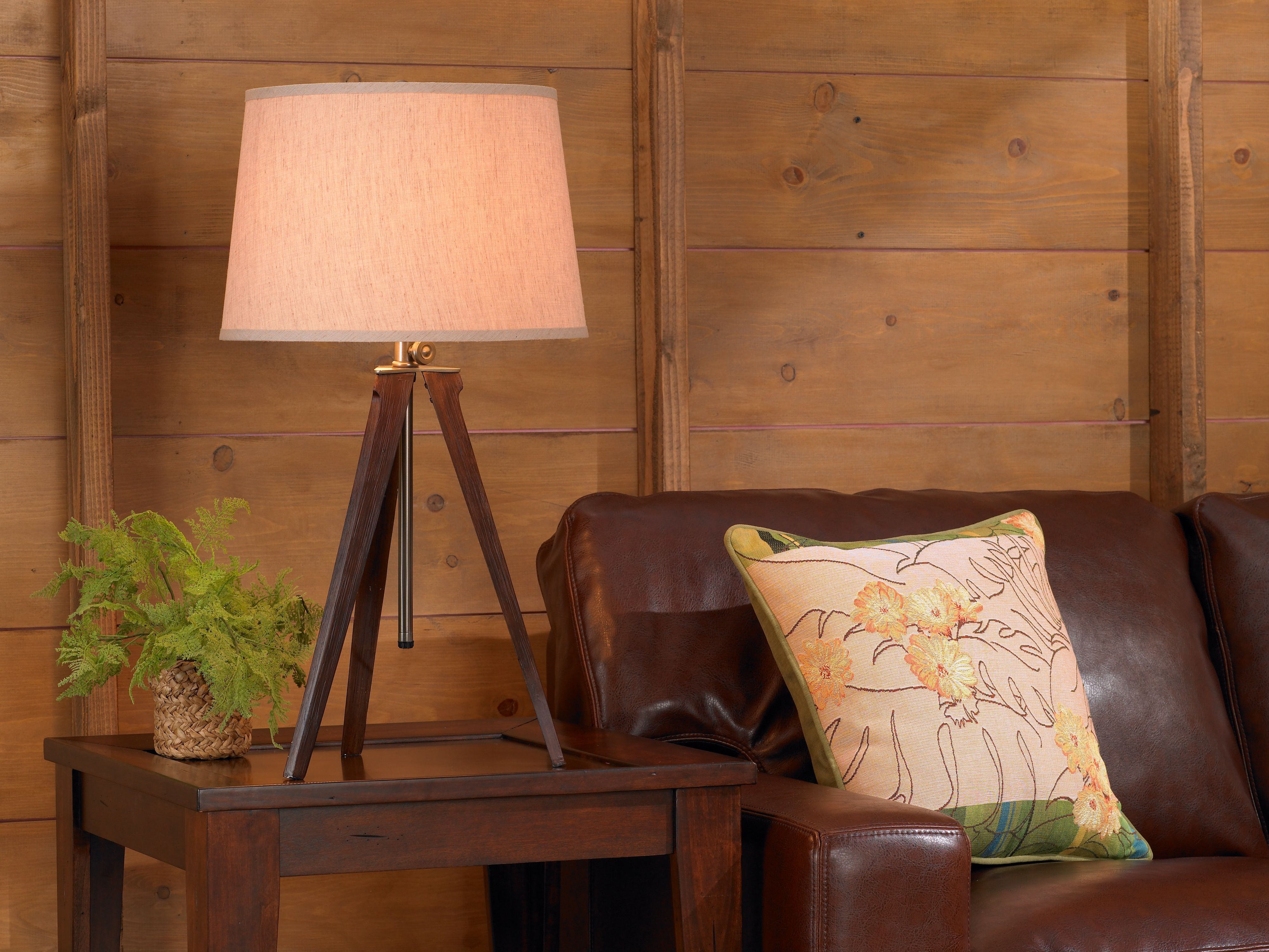 Surveyor Lamp Photo