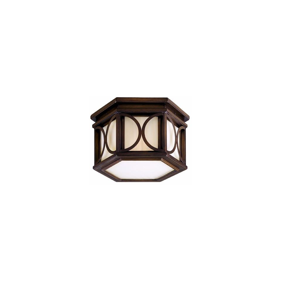 Moonscape Collection Outdoor Ceiling Light Fixture   #16976