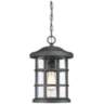 Quoizel Crusade 15 1/2&quot;W Earth Black Outdoor Hanging Light