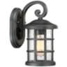 Quoizel Crusade 11&quot; High Earth Black Outdoor Wall Light