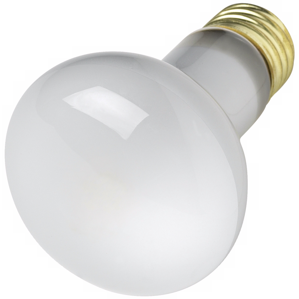 High quality flood light bulb 50 watt, R 20 flood. Price is for one