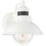 Oberlin 9&quot;H White Dusk to Dawn Motion Sensor Outdoor Light