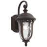 Park Sienna 16 3/4&quot;H Bronze and Glass Outdoor Wall Light