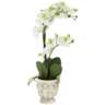 White Phalaenopsis 21 1/2"H Faux Orchid in White Ceramic Pot