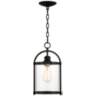 Avani 15&quot; High Black and Brass Outdoor Hanging Light