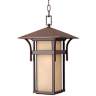 Hinkley Harbor Collection 19&quot; High Outdoor Hanging Light