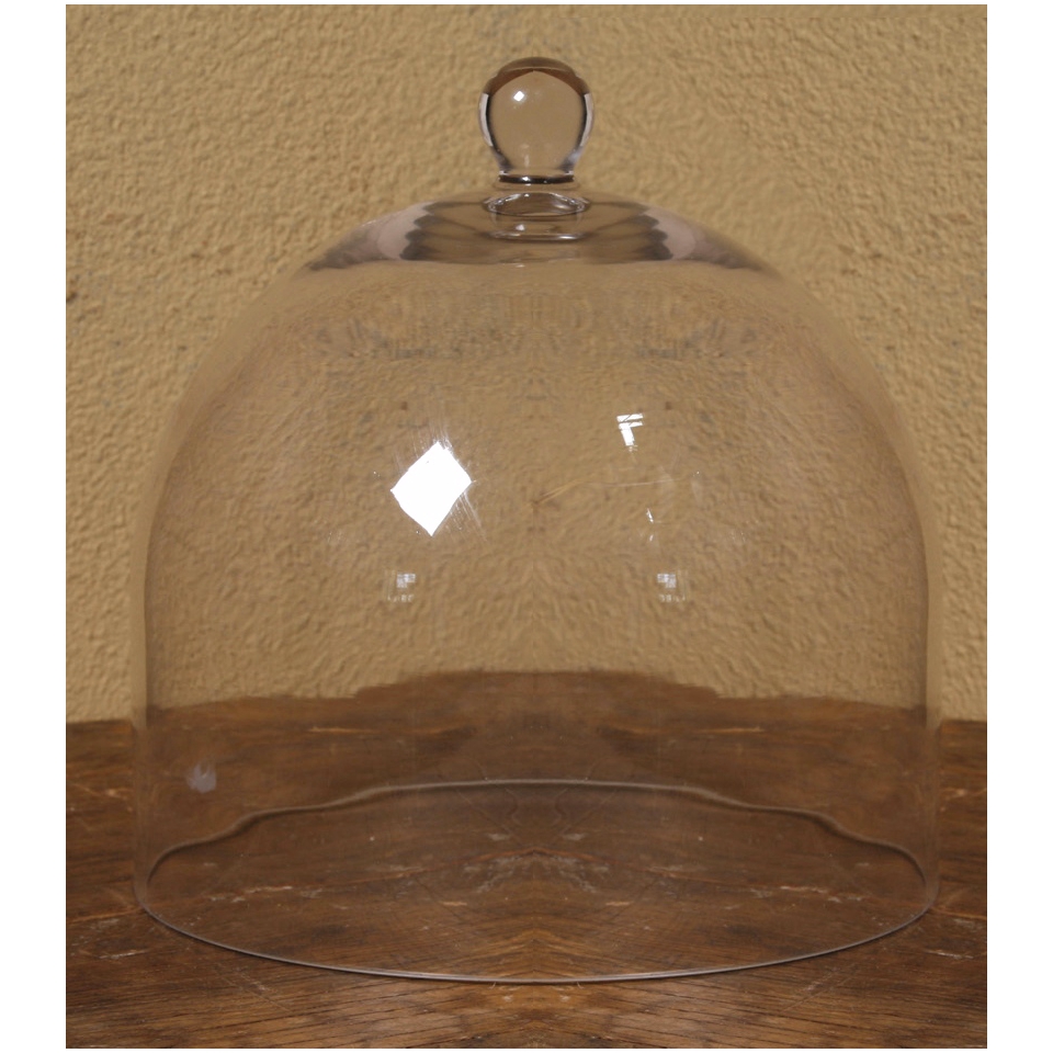 Large Bell Jar Glass Dome   #N2243