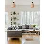 1_Bahama 12" Wide Dark Bronze Metal Rattan Ceiling Light in scene
