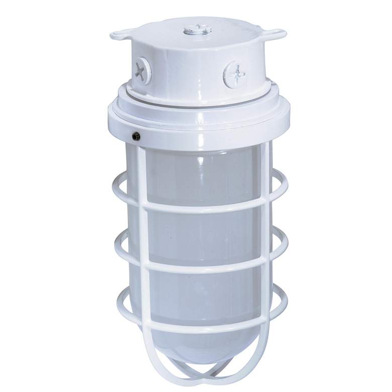 Image 1 1 Light - 11" - Industrial Style - Surface Mount with Frosted Glass