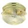 1 Light - 8" Flush with Clear Ribbed Glass - Polished Brass Finish