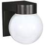 1 Light - 8" - Utility; Wall Mount - With White Glass Globe - Black Fi