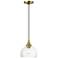1 Light Antique Brass Glass Pendant with Polished Brass Finish Accents