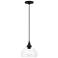 1 Light Black Glass Pendant with Brushed Nickel Finish Accents