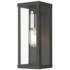 1 Light Black Outdoor ADA Medium Wall Lantern