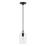 Thumbnail3 of 1 Light Black with Brushed Nickel Accent Mini Pendant more views
