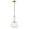 1 Light Brushed Nickel Mini Pendant