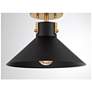 5_1-Light Ceiling Light in Matte Black and Natural Brass more views