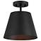 1-Light Ceiling Light in Matte Black
