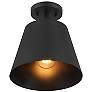 4_1-Light Ceiling Light in Matte Black more views