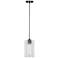 1-light Matte Black Pendant Lamp with Glass