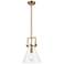 1 Light Mini Pendant