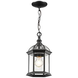 1 Light Outdoor Chain in Black finish