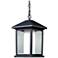 1 Light Outdoor Chain Light in Black finish