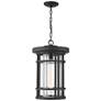 1_1 Light Outdoor Chain Mount Ceiling Fixture in Black finish
