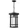 1 Light Outdoor Chain Mount Ceiling Fixture in Black finish