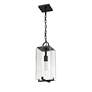 1 Light Outdoor Chain Mount Ceiling Fixture in Black finish