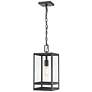 2_1 Light Outdoor Chain Mount Ceiling Fixture in Black finish