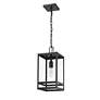 1 Light Outdoor Chain Mount Ceiling Fixture in Black finish