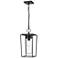 1 Light Outdoor Chain Mount Ceiling Fixture in Black finish
