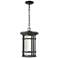 1 Light Outdoor Chain Mount Ceiling Fixture in Black finish