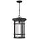 1 Light Outdoor Chain Mount Ceiling Fixture in Oil Rubbed Bronze finish