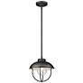 2_1 Light Outdoor Pendant in Black finish
